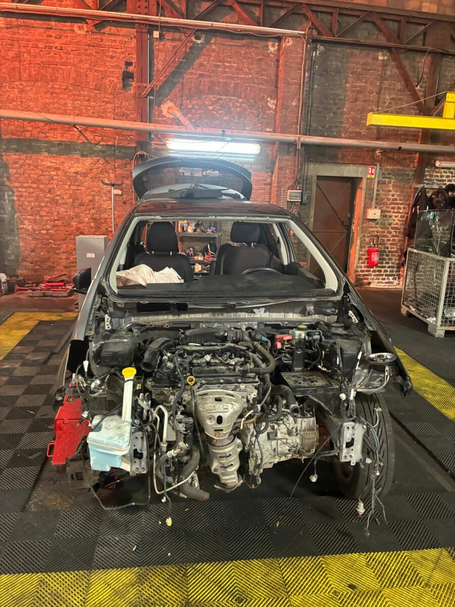 motion_photo_2490484985649693428