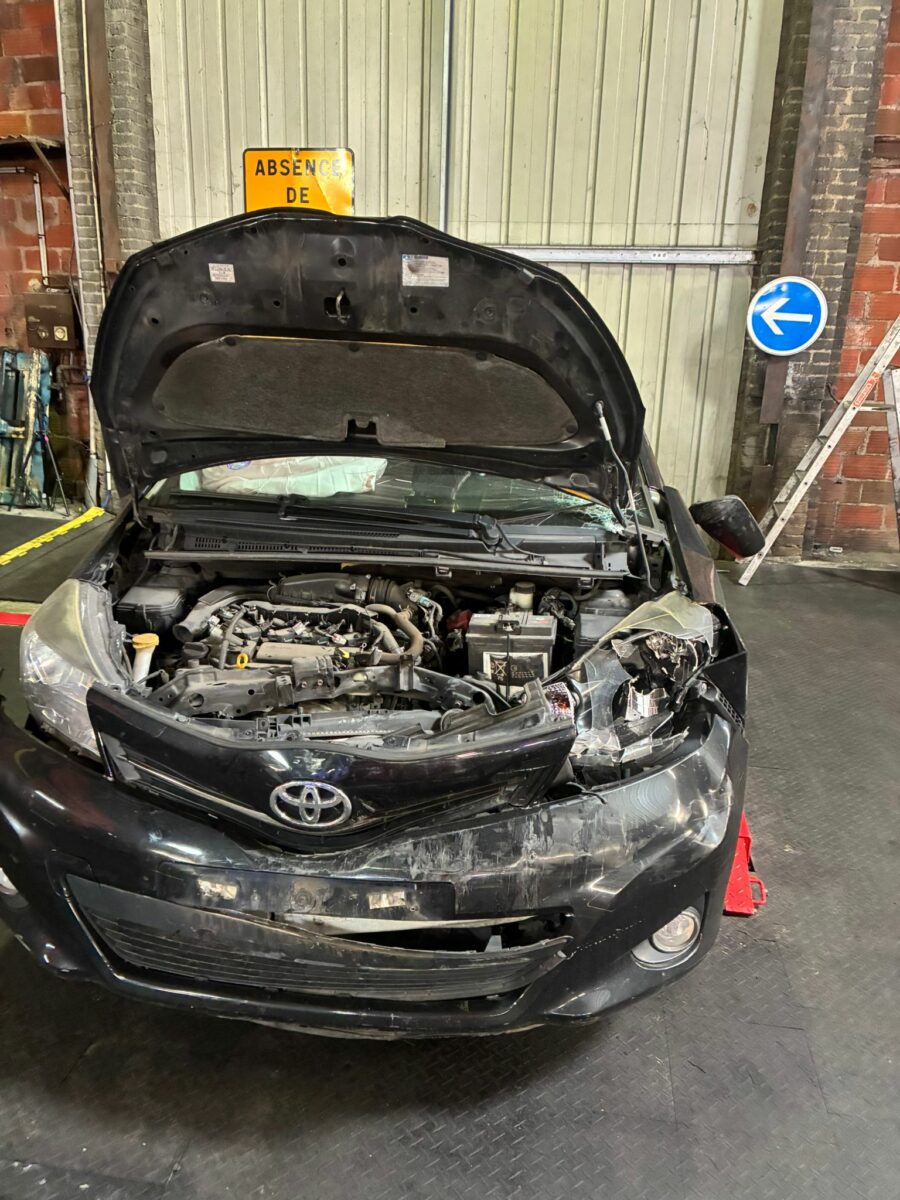 motion_photo_3937981418575281088